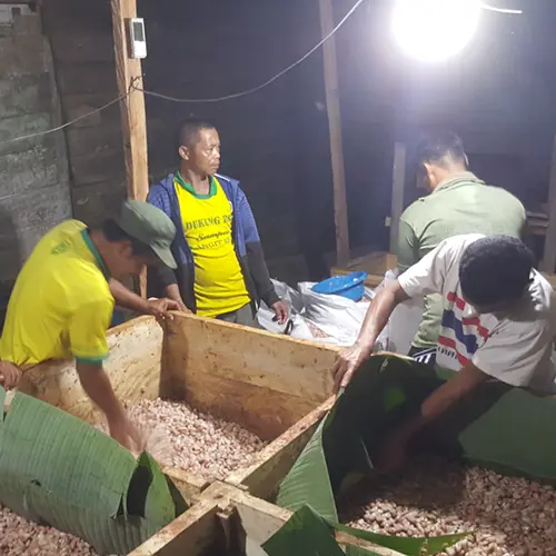 Het fermenteren van cacaobonen is vakwerk. Krakakoa ondersteunt hierin de boeren.