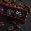 ChocoQueen - 7 handgemaakte bonbons, lokaal in Nederland gemaakt van eerlijke cacao