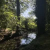 Wasven pure natuur in Eindhoven
