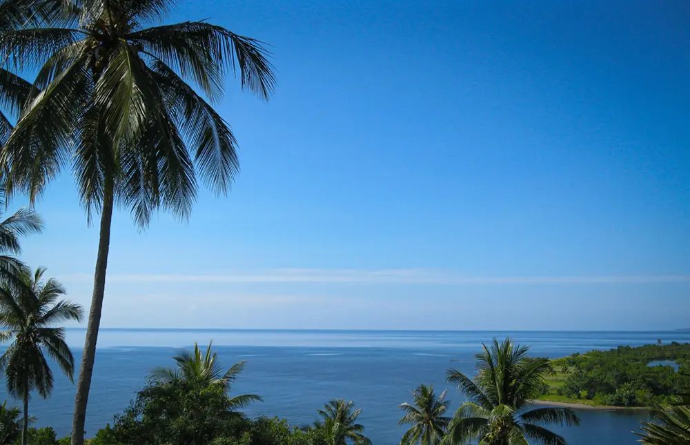 Noord-Sulawesi, waar palmsuiker wordt gewonnen