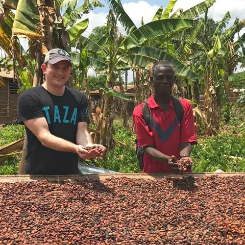Gedroogde cacaobonen die voor Taza chocolade gebruikt zullen worden.